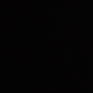 Meet your Posher, Alexus